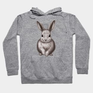 Cute Rabbit Drawing Hoodie